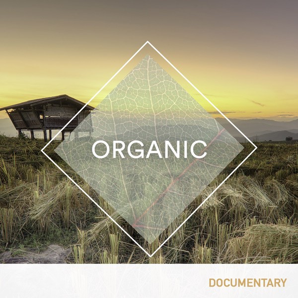 NOUVELLE SORTIE POUR CDM : ORGANIC NOUVELLE SORTIE POUR CDM : ORGANIC